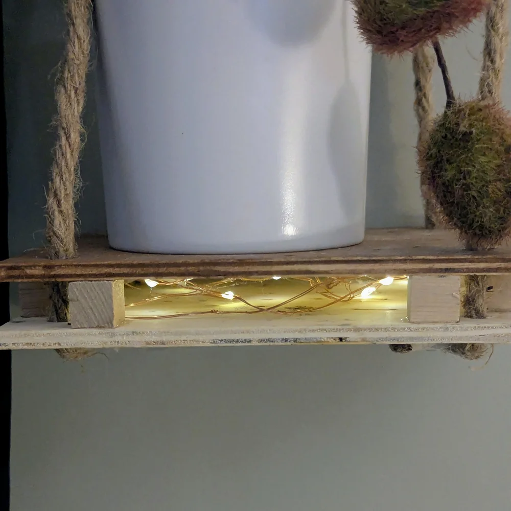 Natural Rope Hanging Shelf with Rubber Plant In White Planter